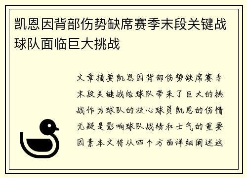 凯恩因背部伤势缺席赛季末段关键战球队面临巨大挑战